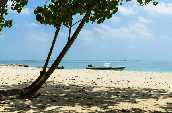 Maldiverna November 2017 Tropisk Strand Natur Landskap Med Vit Sand — Stockfoto