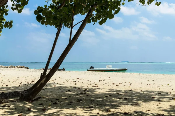 Maldives Novembre 2017 Spiaggia Tropicale Paesaggio Naturale Con Sabbia Bianca — Foto Stock