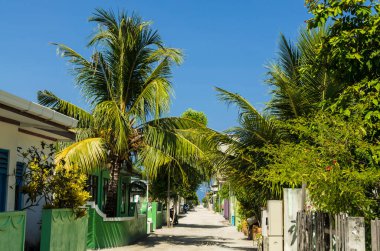 Tek katlı evler ve bakan Hint Okyanusu, Kaafu Atoll, Kuda Huraa ada, Maldivler uzun palmiye ağaçları ile Huraa adanın merkezi sokak