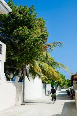 Huraa, Maldivler - 20 Kasım 2017: kadın küçük tropik ada dar sokağa palmiye ağaçları ve parlak mavi gökyüzü, Kaafu Atoll, Kuda Huraa ada, Maldivler bir fon ile bir bisiklet sürme.
