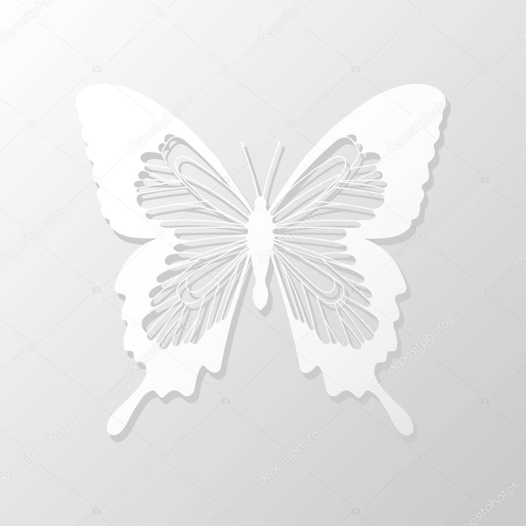 Download Lace butterfly cut out of paper on a white background ...