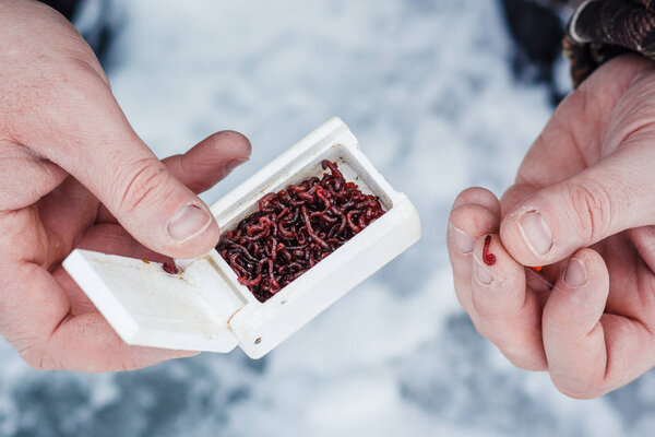 Men's hands with bait for winter fishing. winter fishing.