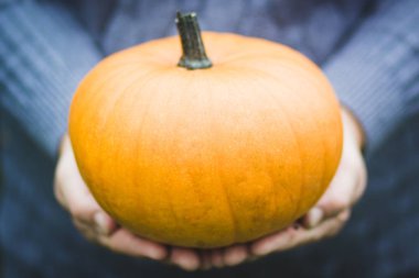 çiftçi bir kabak elinde tutuyor. arka plan resmi