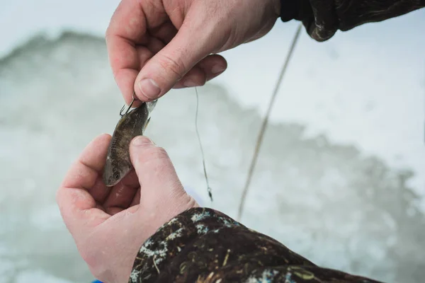 Mannelijke handen met een aas voor de visserij van de winter — Stockfoto