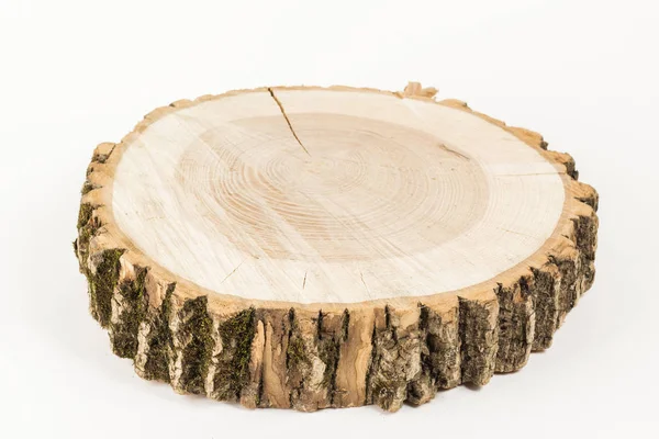 Árvore cortada no fundo branco. bandeja de madeira — Fotografia de Stock