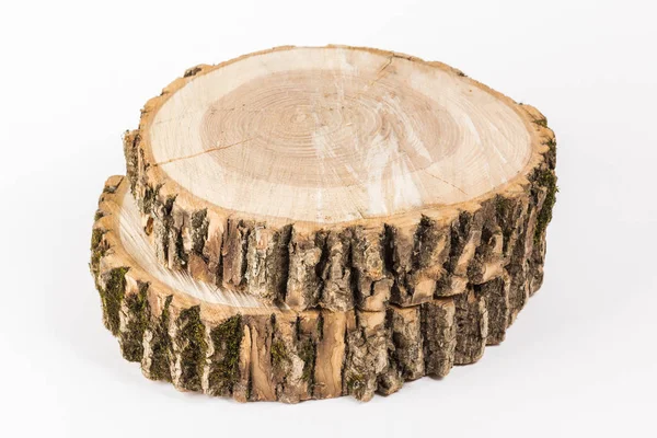 Árvore cortada no fundo branco. bandeja de madeira — Fotografia de Stock