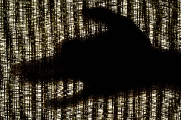 Mãos de sombra e dedos na forma de um cão em uma tela de linho — Fotografia de Stock