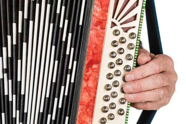 Mão de músico tocando acordeões closeup. isolado nas costas brancas — Fotografia de Stock