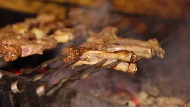 Carne Barbacoa Parrilla Pinchos Parrilla — Vídeo de stock