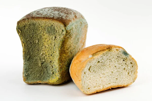 白色背景的发霉的面包.过期的糕点 — 图库照片