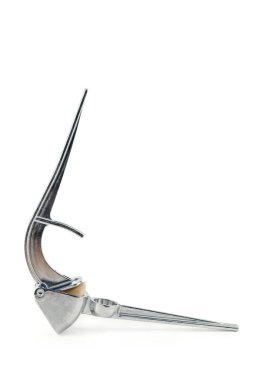 Beyaz arkaplanda izole edilmiş sarımsak için metal baskı.