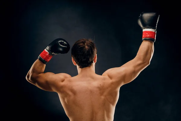 Back view of man boxer with raised hands in victory gesture. Con