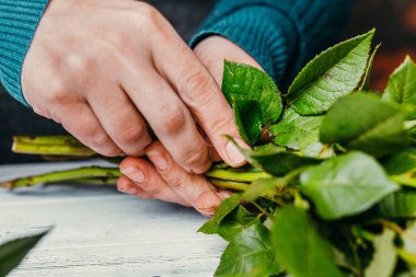 İşteki çiçekçi farklı çiçeklerden modern bir buket yapıyor.