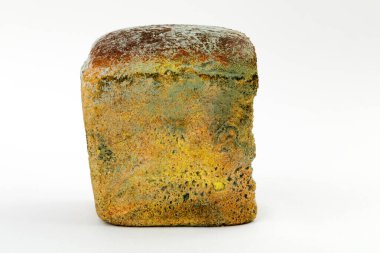 Beyaz arka planda küflü ekmek. Tarihi geçmiş hamur işleri.