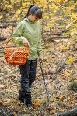 Güzel kız sonbahar ormanında mantar topluyor..