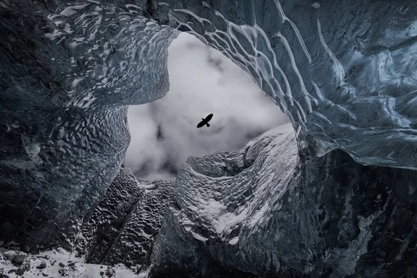 An ice cave inside with a view of the dramatic sky. Raven flying over blue ice. Ice cave in Iceland on the Vatnajokull glacier.