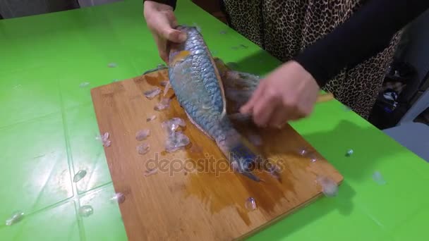 Limpieza del pescado barracuda 2 . — Vídeo de stock