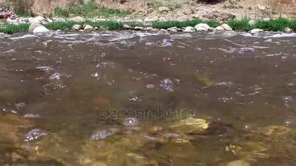 Forte fluxo de água, reservatório . — Vídeo de Stock