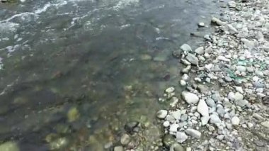 Kayalık sahil, nehirler. Hızlı geçerli.