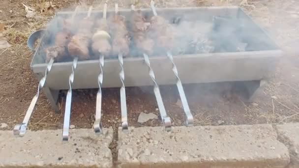 Skewers of lamb. Barbecue. — Stock Video