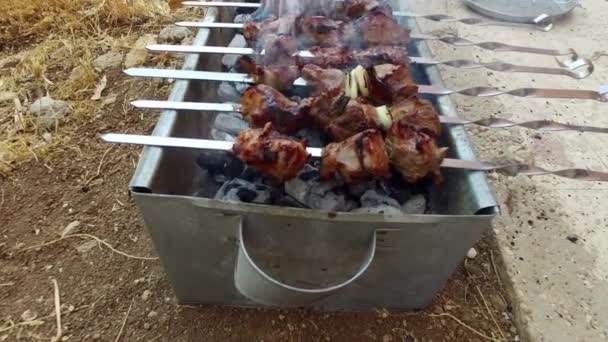 Carne em chamas. Carneiro . — Vídeo de Stock