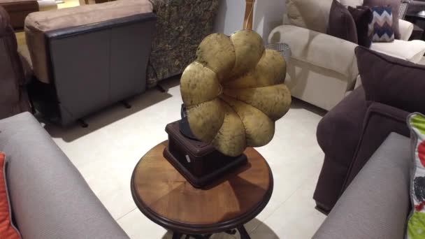 Grammofoon. Decor. Oude grammofoon op een houten tafel. — Stockvideo