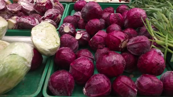 Col roja y cebollas verdes en los estantes de la tienda . — Vídeo de stock