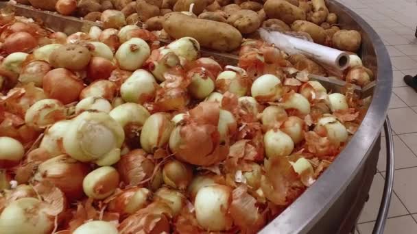 Cebula, ziemniaki na ladzie w supermarkecie. — Wideo stockowe