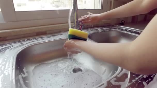 Ένα κορίτσι πλένει ένα σφουγγάρι με νερό βρύσης. Πλύσιμο το νεροχύτη της κουζίνας. — Αρχείο Βίντεο