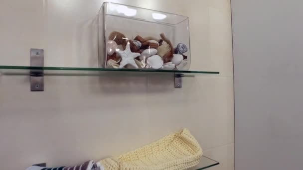 Aquarium décoratif sur l'étagère dans la salle de bain . — Video