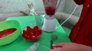 Domates blender pirzola. Bir yavru kedi yakındır.
