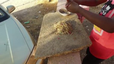 Kızlar ve yavru kedi içinde belgili tanımlık yarda oynuyorlar