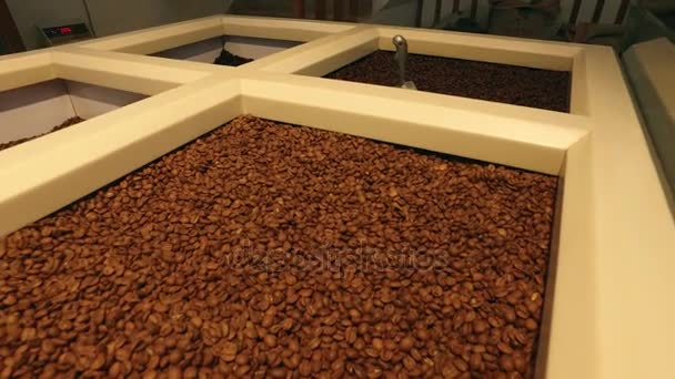 Venda de café natural — Vídeo de Stock