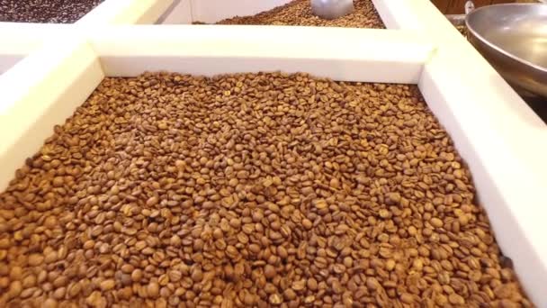 Comprar café de grano — Vídeo de stock