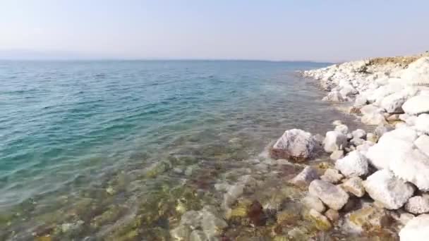 Mar Morto Costa Del Mar Morto Pietre Vicino Mar Morto — Video Stock
