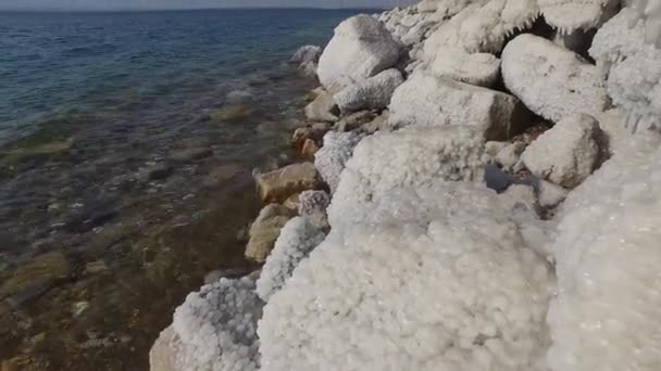 Mar Muerto Costa Del Mar Muerto Piedras Cerca Del Mar — Vídeo de stock