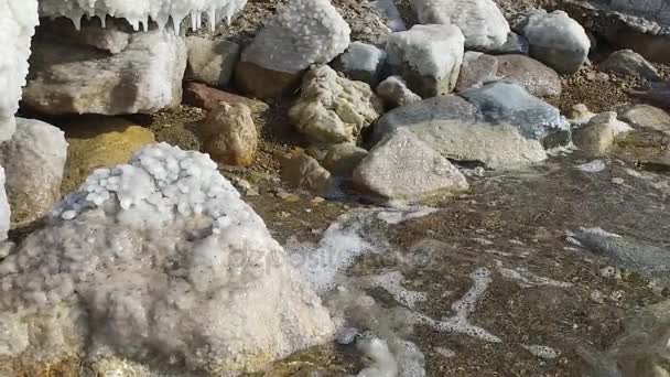 死海的海岸 死海附近的石头 死海岩石上的盐 — 图库视频影像