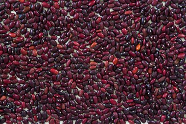 Beyaz arka plan üzerinde dağınık kırmızı fasulye