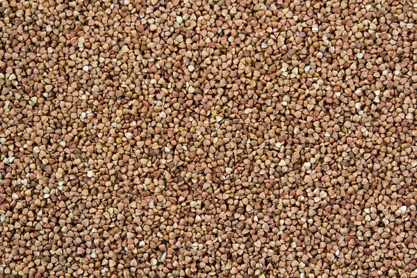Pile of buckwheat seeds — Stock Photo, Image