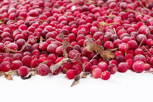 Frozen berry cowberries — Stock Photo, Image