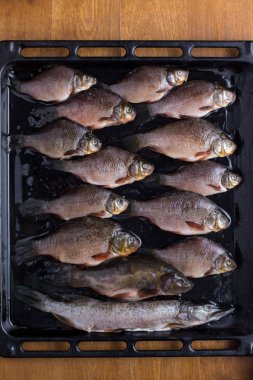 taze nehir balığı