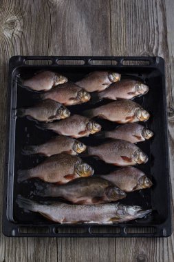 taze nehir balığı