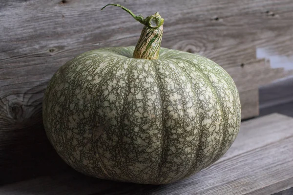 Green pumpkin on a wooden background — Stock Photo, Image