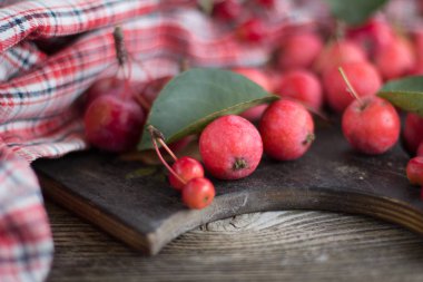Kırmızı elma ve yaprakları