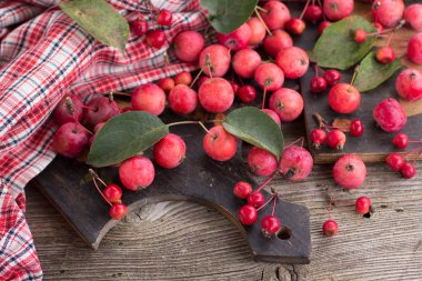 Kırmızı elma ve yaprakları