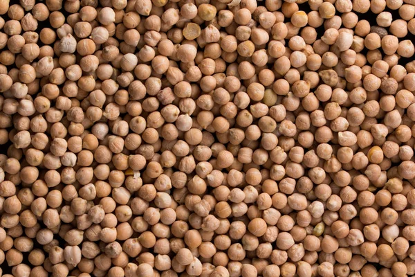 Placer garbanzos textura — Foto de Stock