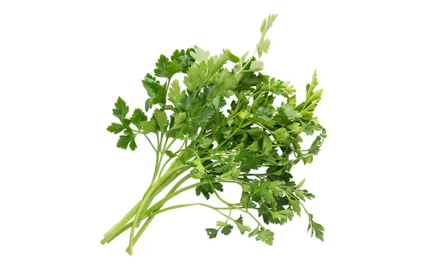 Bunch of fresh parsley on a white background — Stock Photo, Image