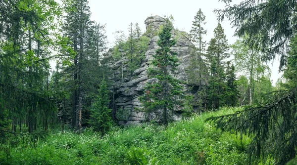 Paths between forests and mountains of the Southern Urals. Summer in the mountains. View from the mountains. The nature of the Southern Urals.