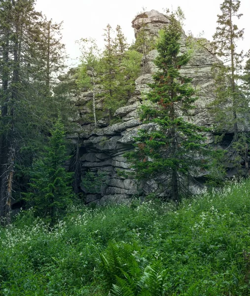 Uma pedra permanece na floresta. A natureza dos Urais do Sul. Lugares selvagens . — Fotografia de Stock
