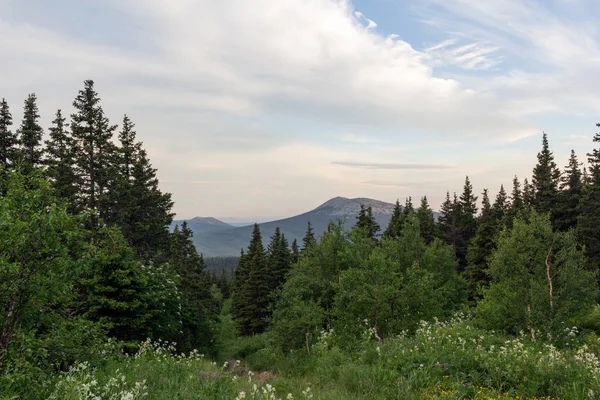 Paths between forests and mountains of the Southern Urals. Summer in the mountains. View from the mountains. The nature of the Southern Urals.